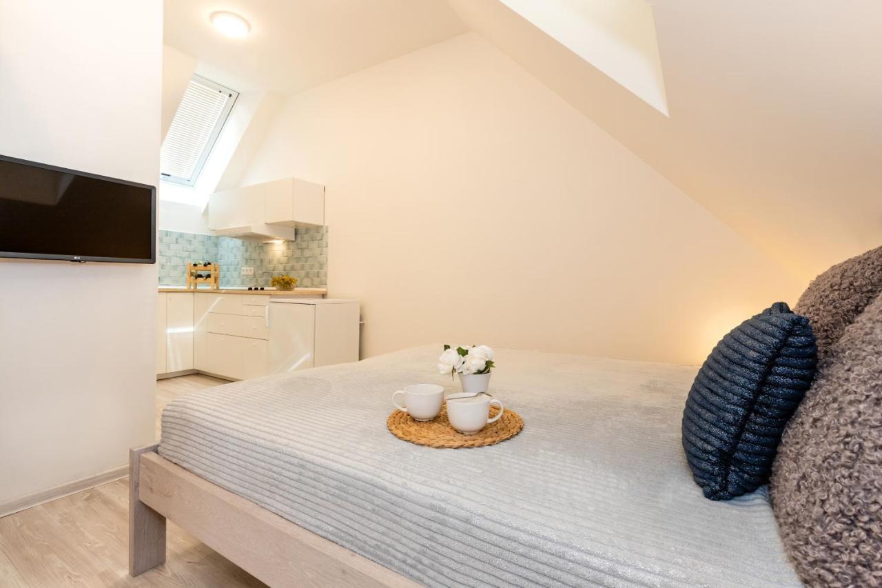 Apartmany Jedovary Trhové Sviny 外观 照片